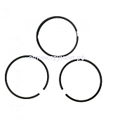 21145006 Комплект поршневых колец D55 для LT-100NV