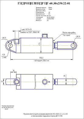 Гидроцилиндр ЦГ-60.30х250.22-01